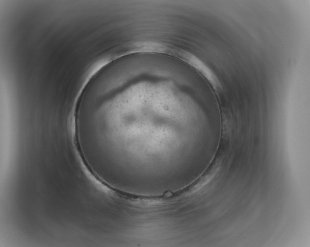 X0000111941095200908031133