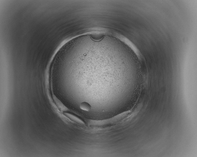 X0000111941099200908031133