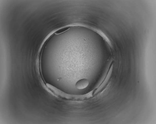 X0000111941100200908031133