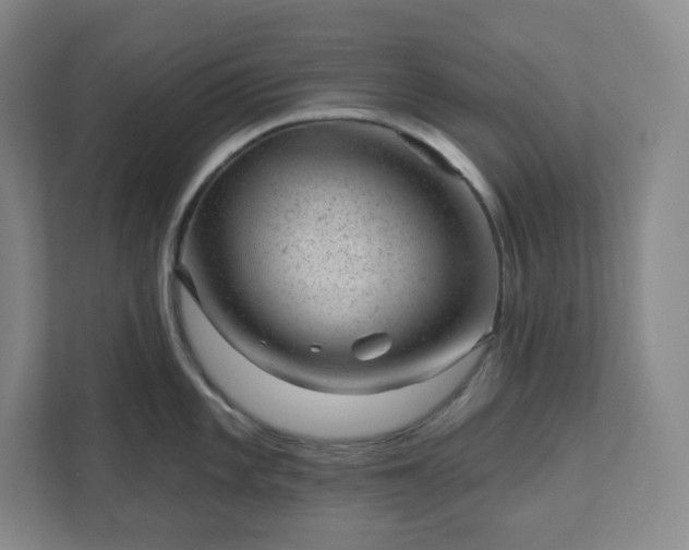 X0000111941101200908031133