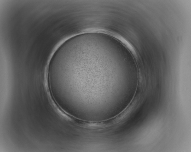 X0000111941102200908031133