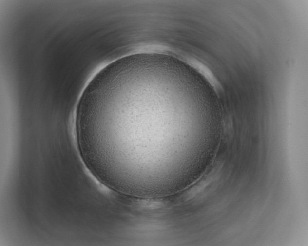 X0000111941103200908031133