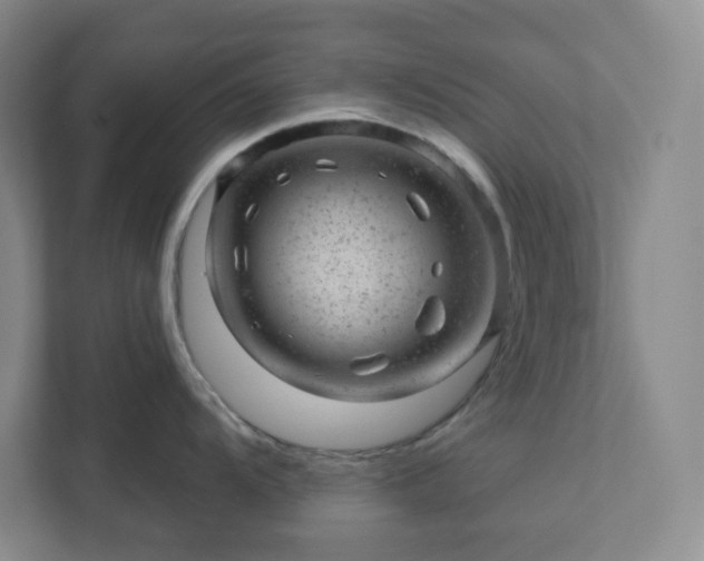 X0000111941104200908031133