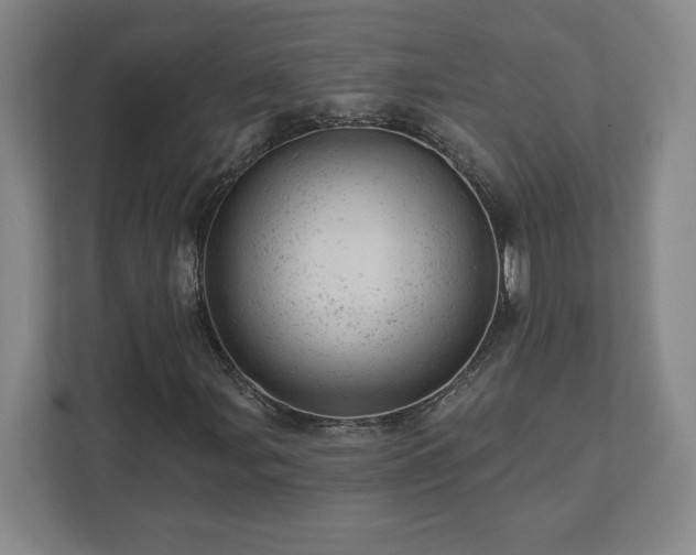 X0000111941107200908031132