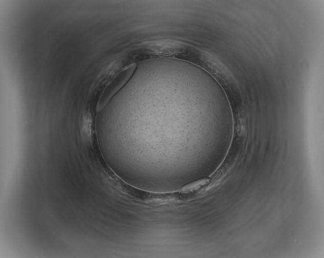 X0000111941108200908031132