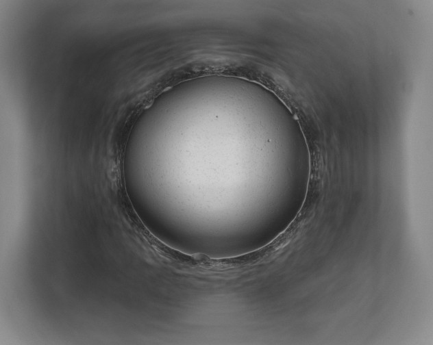 X0000111941109200908031132