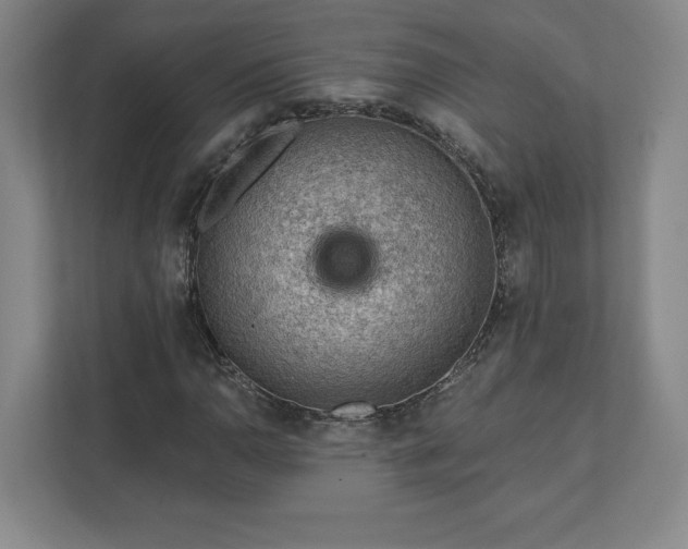 X0000111941110200908031132