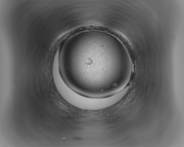 X0000111941112200908031132