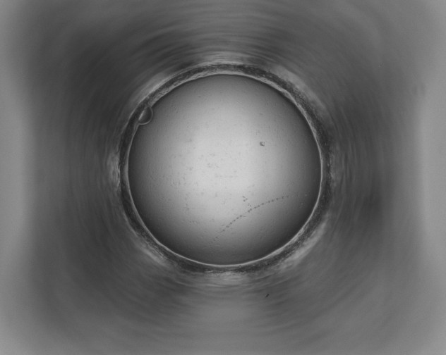 X0000111941113200908031132