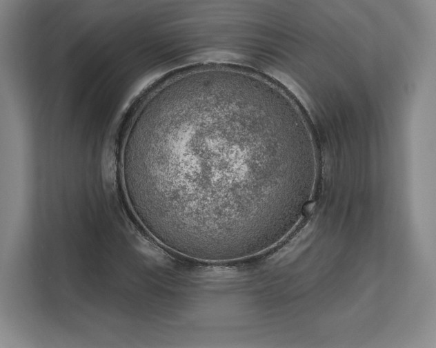 X0000111941115200908031132