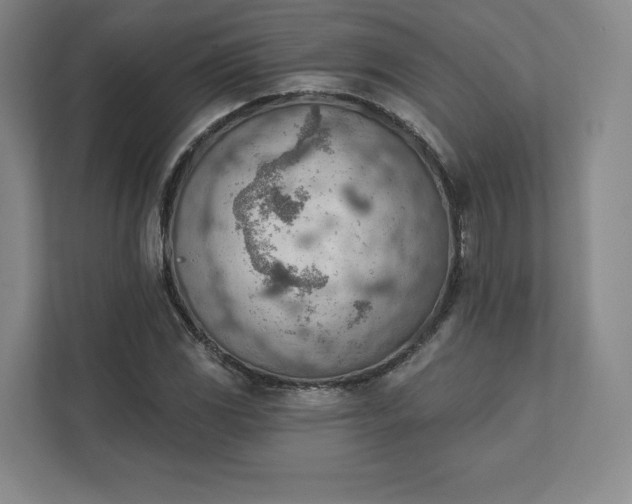 X0000111941117200908031132