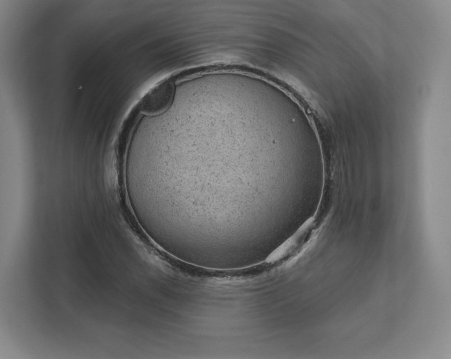 X0000111941118200908031132