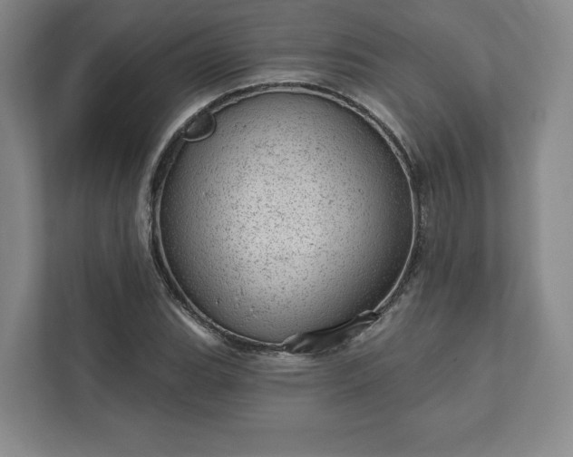 X0000111941119200908031132