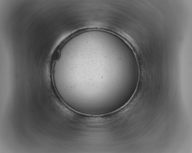 X0000111941120200908031132