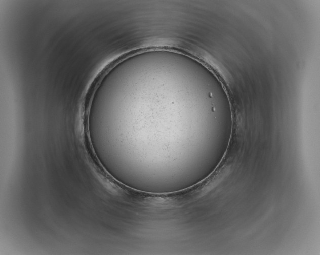 X0000111941124200908031132