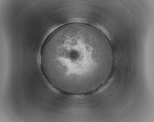 X0000111941125200908031133