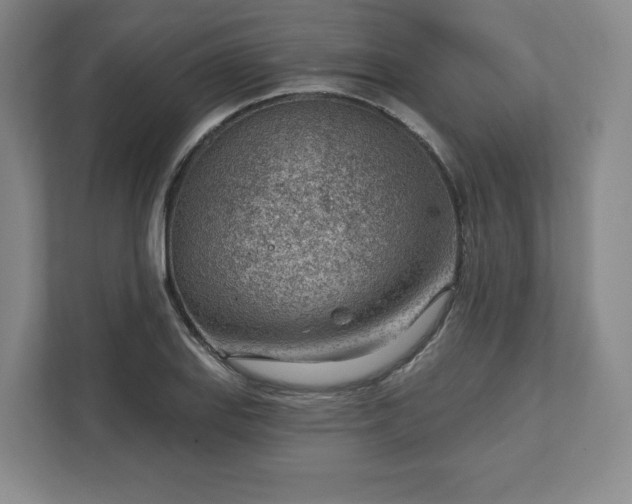 X0000111941127200908031133