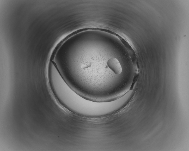 X0000111941128200908031133