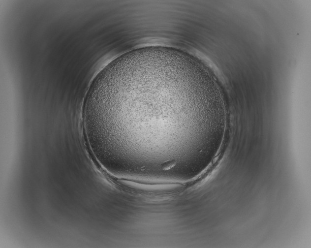 X0000111941129200908031133