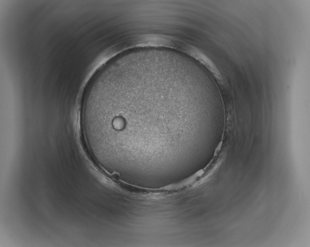 X0000111941130200908031133