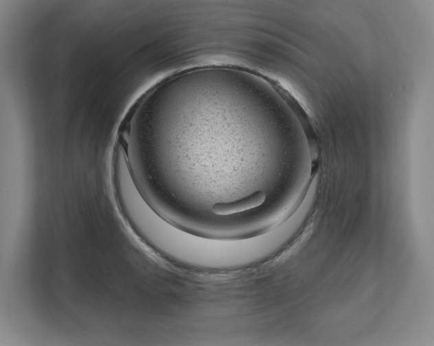 X0000111941134200908031133