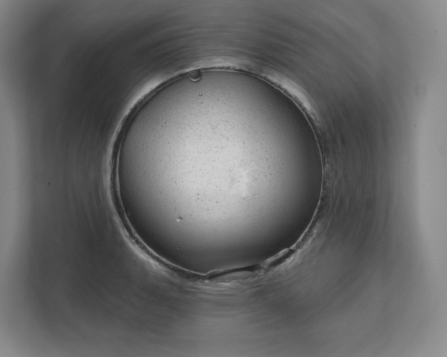 X0000111941135200908031133