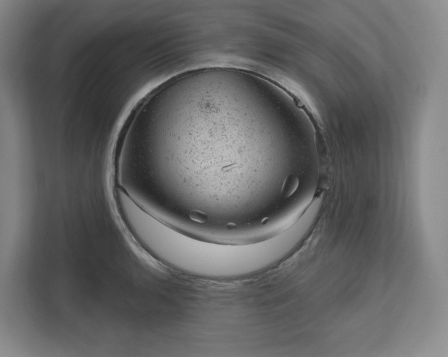 X0000111941136200908031133