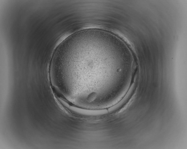 X0000111941137200908031133