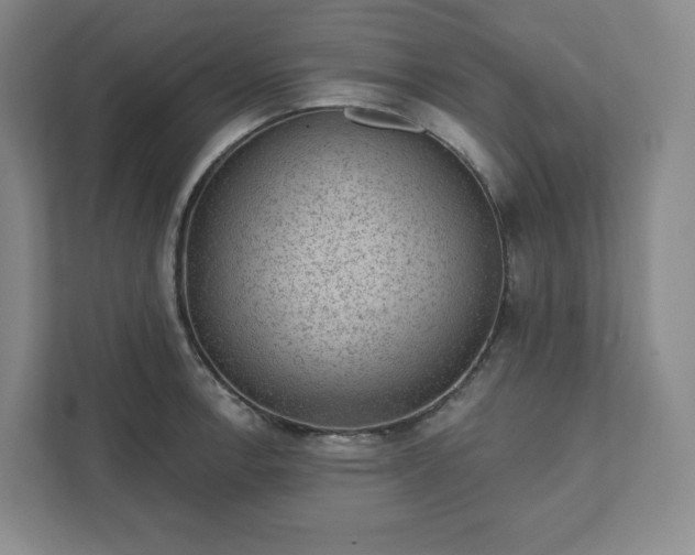 X0000111941138200908031133