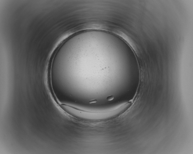 X0000111941139200908031133