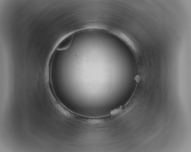 X0000111941140200908031133