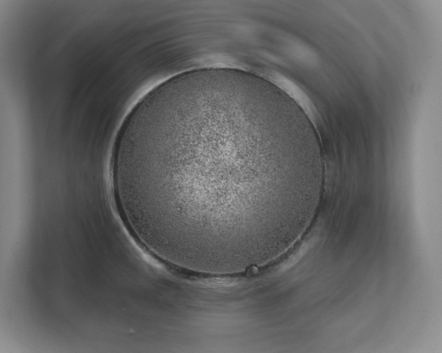 X0000111941141200908031133