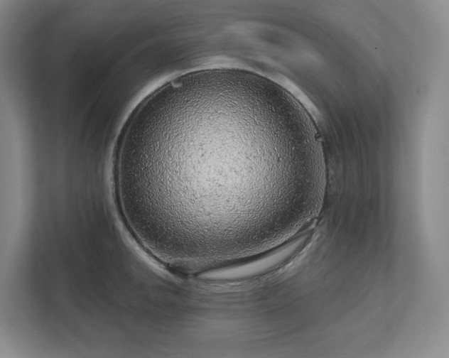 X0000111941142200908031133