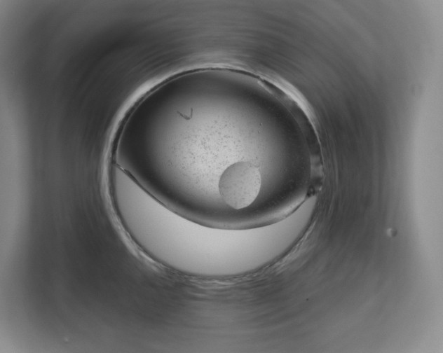 X0000111941144200908031133