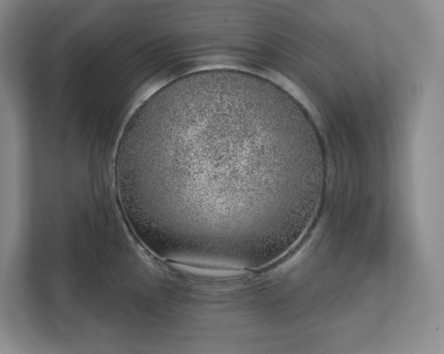 X0000111941145200908031133