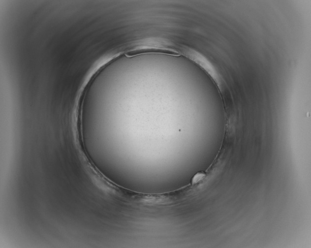 X0000111941146200908031133