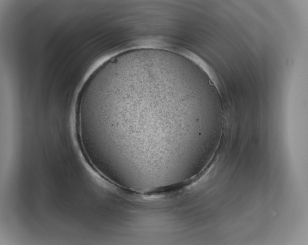 X0000111941147200908031133