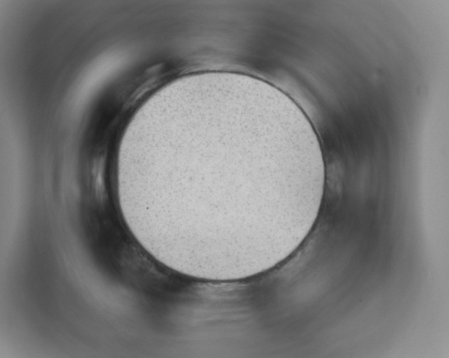 X0000111941150200908031133