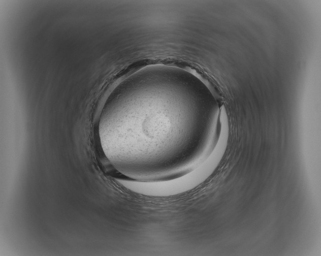 X0000111941153200908031132