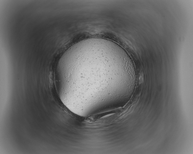 X0000111941156200908031132