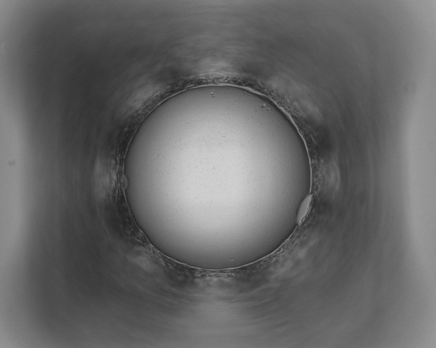 X0000111941157200908031132