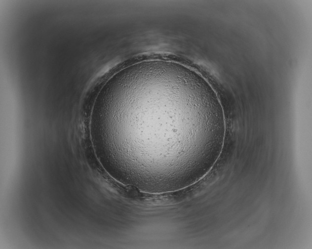 X0000111941159200908031132