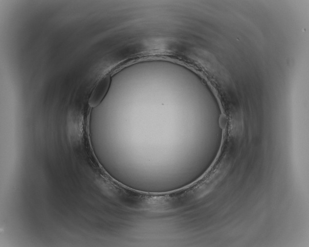 X0000111941161200908031132