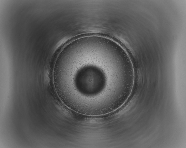 X0000111941163200908031132