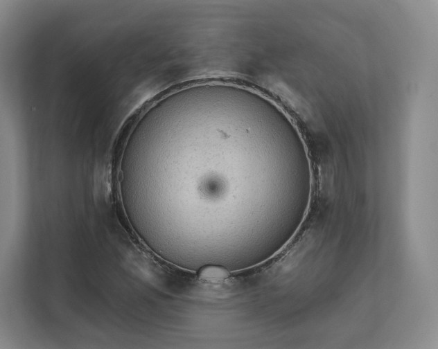 X0000111941165200908031132