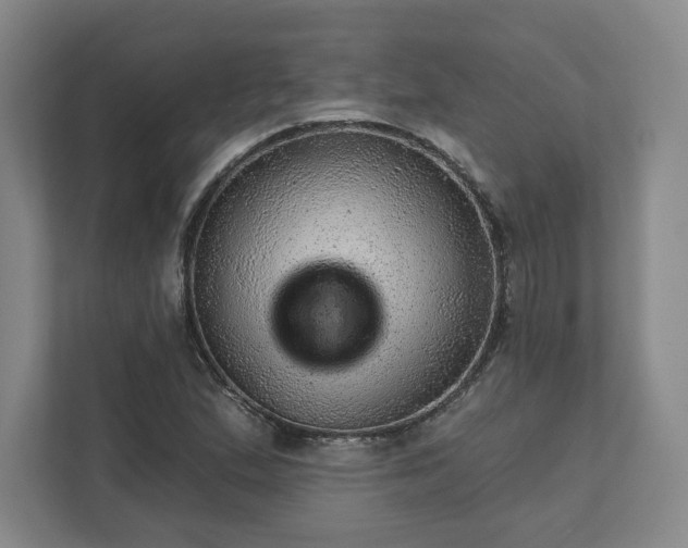 X0000111941167200908031132