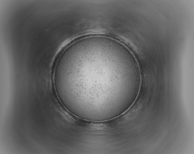 X0000111941168200908031132