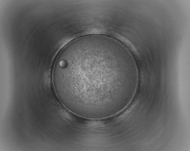 X0000111941170200908031132