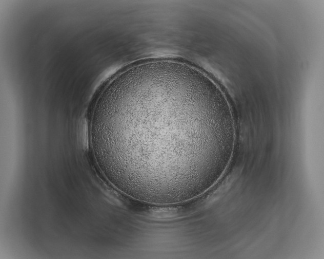 X0000111941171200908031132