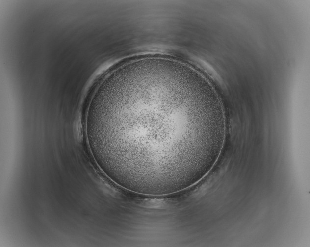 X0000111941172200908031132